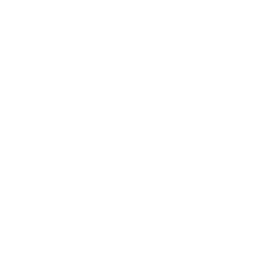 wazdan